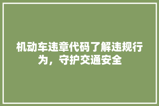 机动车违章代码了解违规行为，守护交通安全