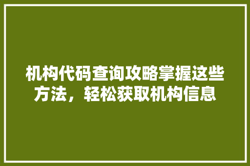 机构代码查询攻略掌握这些方法，轻松获取机构信息