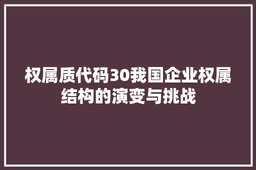权属质代码30我国企业权属结构的演变与挑战