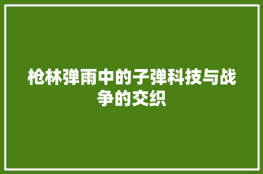 枪林弹雨中的子弹科技与战争的交织