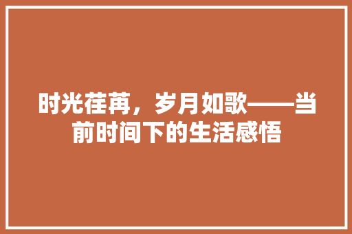 时光荏苒，岁月如歌——当前时间下的生活感悟
