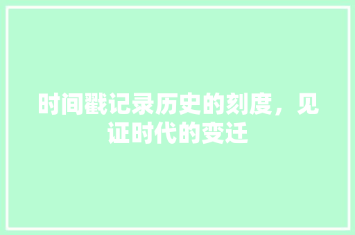 时间戳记录历史的刻度，见证时代的变迁