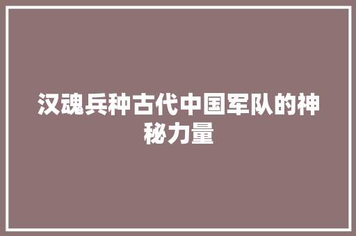 汉魂兵种古代中国军队的神秘力量  第1张