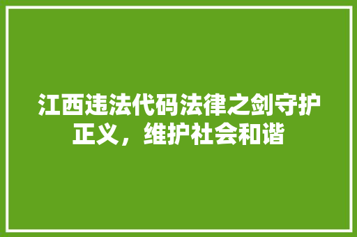 江西违法代码法律之剑守护正义，维护社会和谐