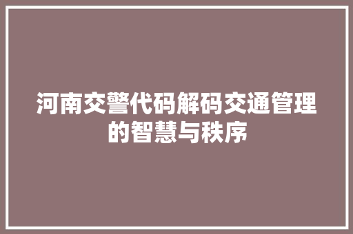 河南交警代码解码交通管理的智慧与秩序