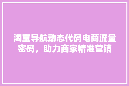 淘宝导航动态代码电商流量密码，助力商家精准营销
