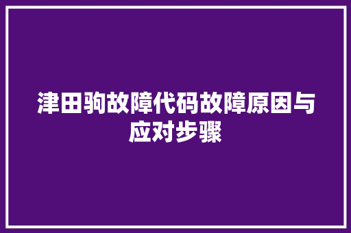 津田驹故障代码故障原因与应对步骤