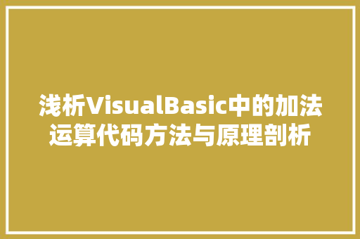 浅析VisualBasic中的加法运算代码方法与原理剖析