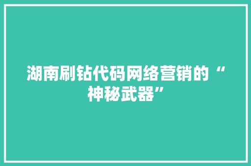 湖南刷钻代码网络营销的“神秘武器”