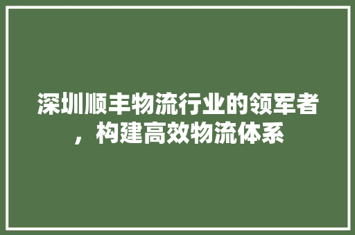 深圳顺丰物流行业的领军者，构建高效物流体系