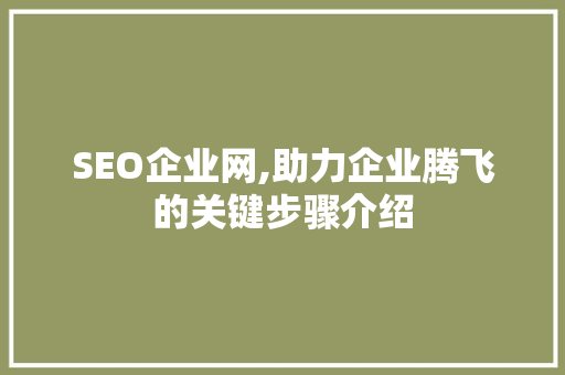SEO企业网,助力企业腾飞的关键步骤介绍