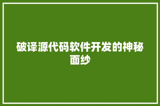破译源代码软件开发的神秘面纱