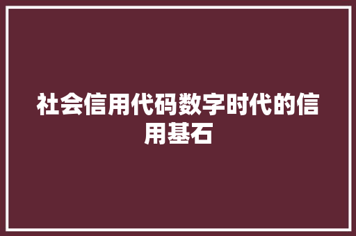 社会信用代码数字时代的信用基石
