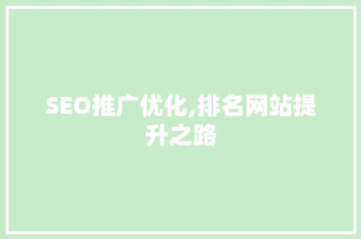 SEO推广优化,排名网站提升之路