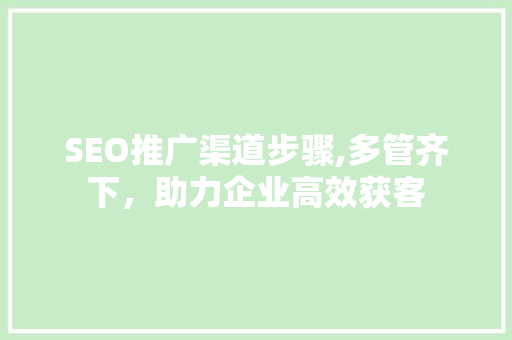 SEO推广渠道步骤,多管齐下，助力企业高效获客