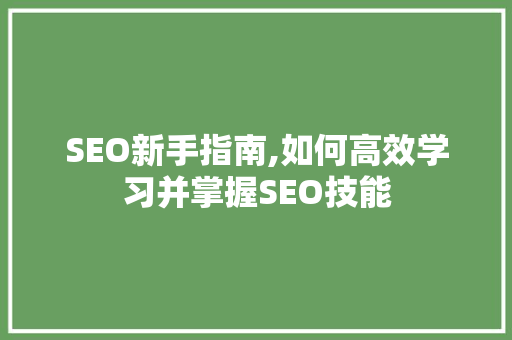 SEO新手指南,如何高效学习并掌握SEO技能