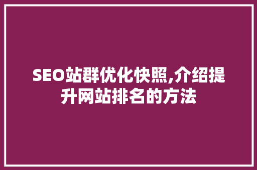 SEO站群优化快照,介绍提升网站排名的方法