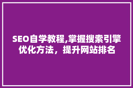 SEO自学教程,掌握搜索引擎优化方法，提升网站排名