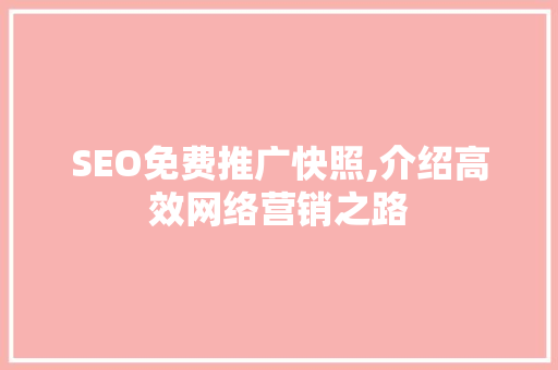 SEO免费推广快照,介绍高效网络营销之路