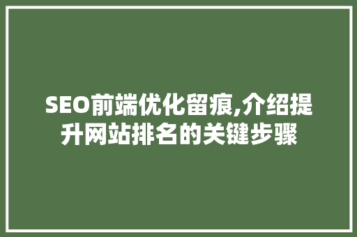 SEO前端优化留痕,介绍提升网站排名的关键步骤