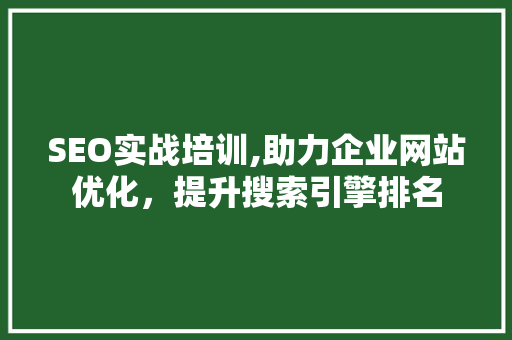 SEO实战培训,助力企业网站优化，提升搜索引擎排名