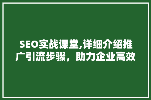 SEO实战课堂,详细介绍推广引流步骤，助力企业高效增长