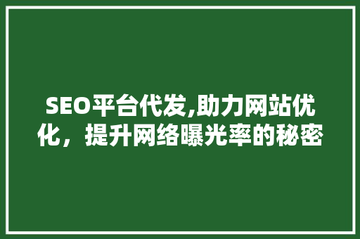 SEO平台代发,助力网站优化，提升网络曝光率的秘密武器