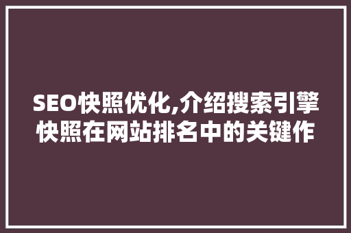 SEO快照优化,介绍搜索引擎快照在网站排名中的关键作用