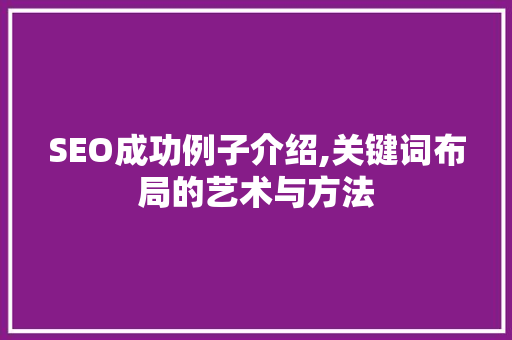 SEO成功例子介绍,关键词布局的艺术与方法